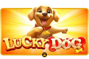 mwlbet App Live Casino Slots မိုဘိုင်းဖုန်း ကစားနေမှု